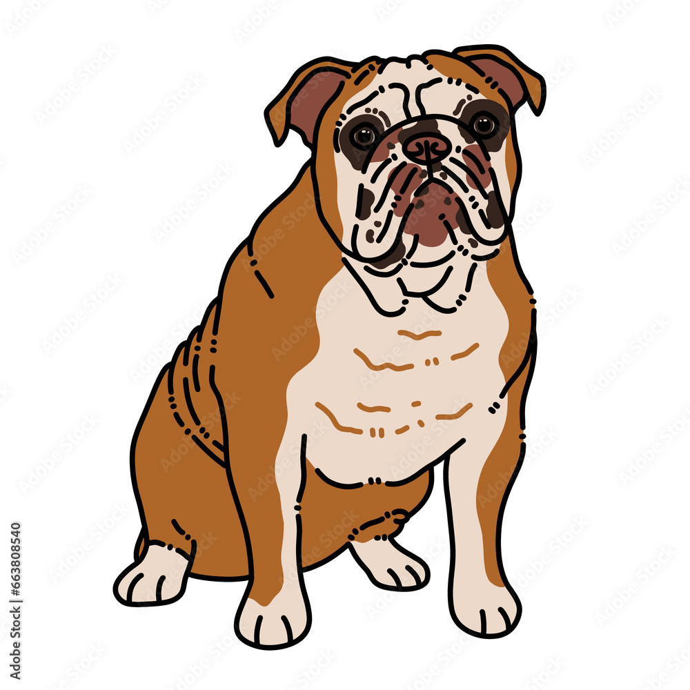 Bulldog sitting illustration on transparent background