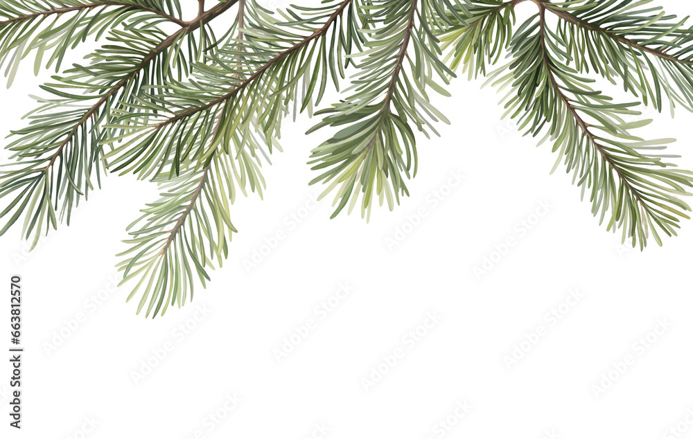 Green lush spruce branch. Fir branches. Isolated on white background Green lush spruce branch. Fir branches. Isolated on white background