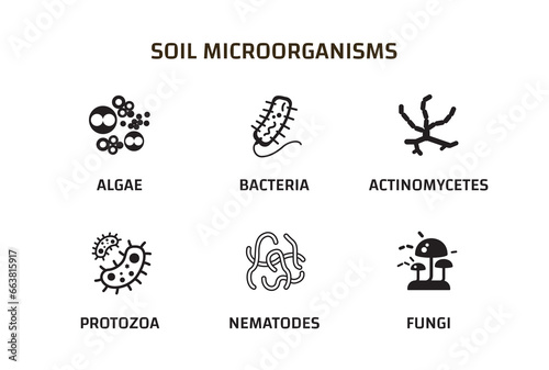 Soil Microorganisms that reproduce in the soil. Soil biology. bacteria, fungi, algae, protozoa, nematodes, actinomycetes