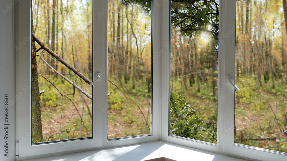 Naklejka premium View from the window of the room on the park with yellow trees.