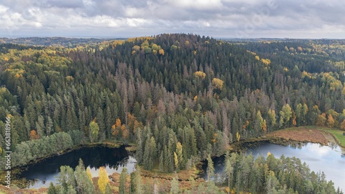 Aerial view of a stunning forested landscape in Voru County, Estonia