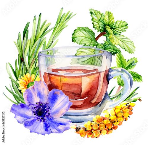 Herbata ziołowa ilustracja