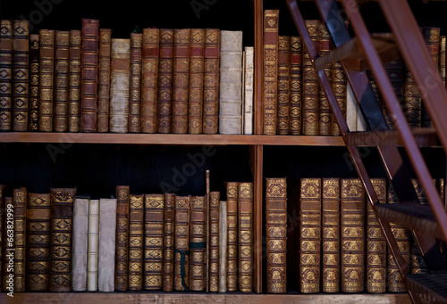 Canvas Print Vienna, Austria, October 2023: Old bookcase with the leather-bound book covers i