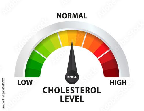 Cholesterol level meter with high and low fat test, vector blood risk and good or bad health control. Cholesterol level meter gauge with arrow indicator for healthcare. Vector illustration