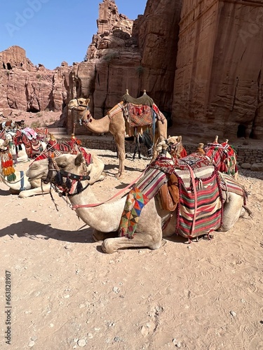 The rock city of Petra - treasury, Historic Sandstone 