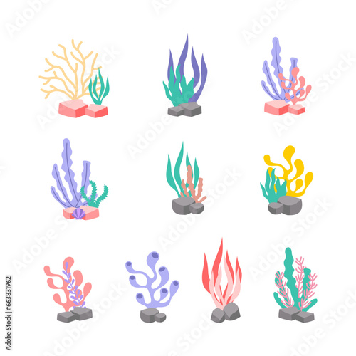 Coral Reef Vector