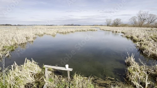 Calm silent view on the autumn lake. 4K