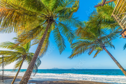 Palm trees and dark sand in Grande Anse beach in Guadeloupe © Gabriele Maltinti