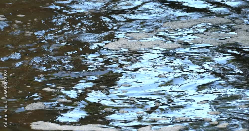 pollution foam bubbles moving on water pollution foam bubbles moving on water