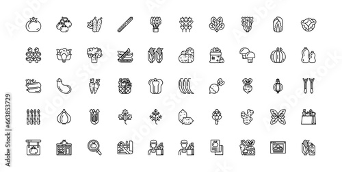 vegetables icon set