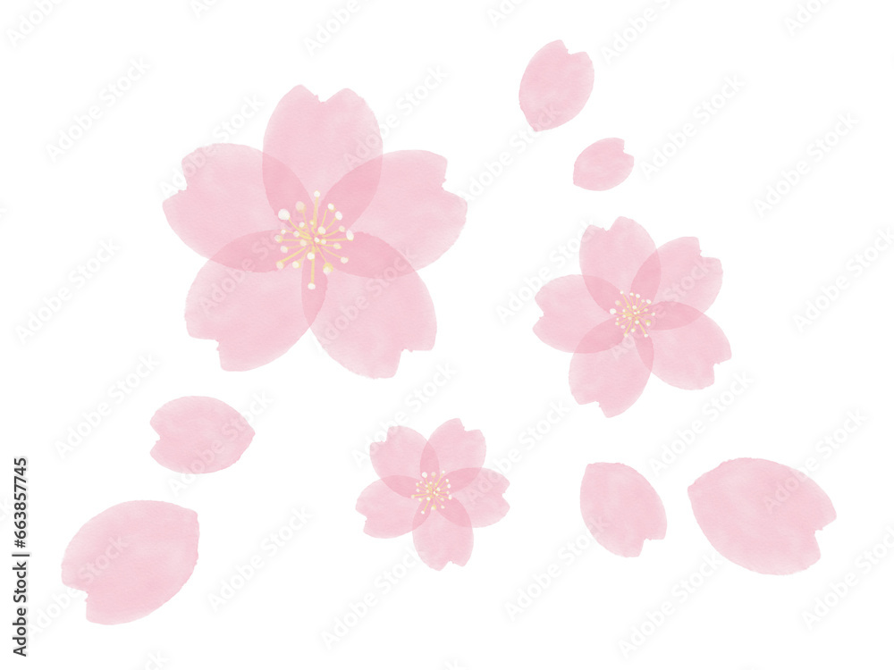 水彩の桜イラスト