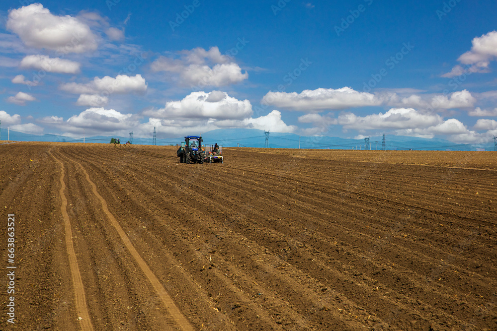 Mulch earth line Mulch earth line