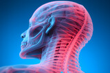 Person's spine x-ray in blue and red colors. Pain concept