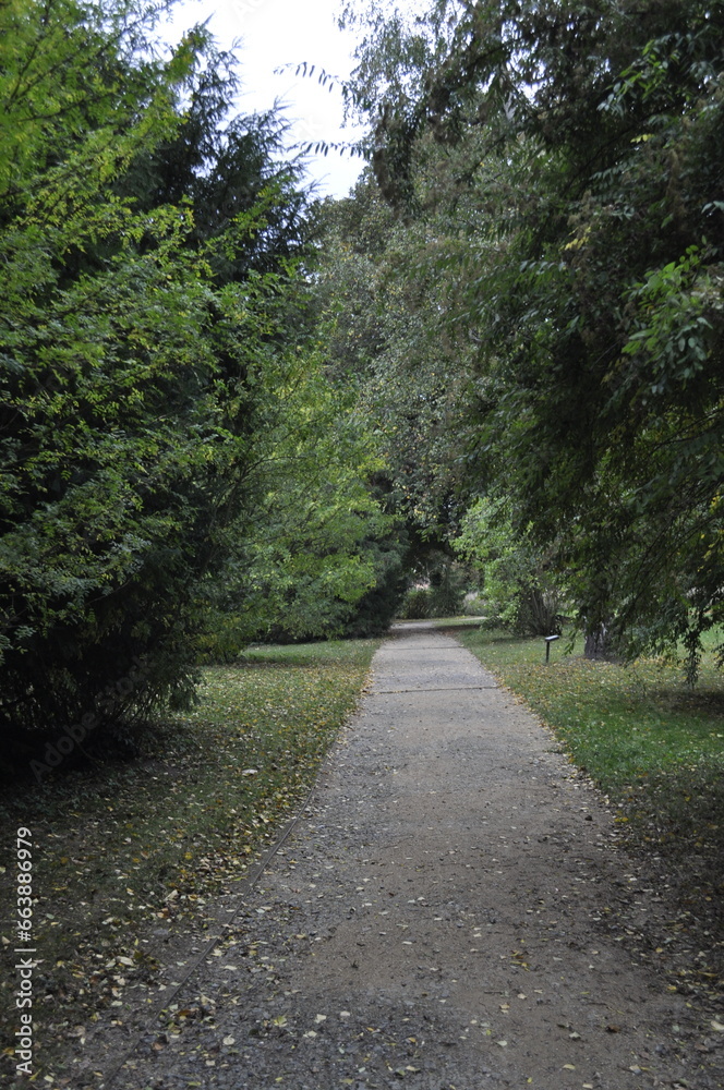 Nature path in the park