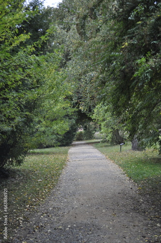 Nature path in the park