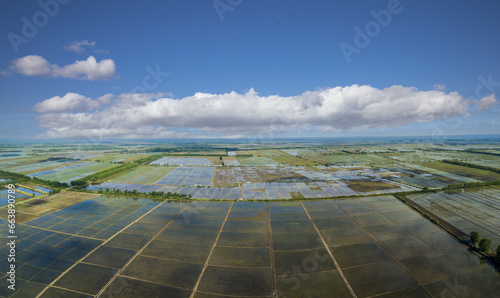 Aerial heilongjiang frequently benefit paddy fields