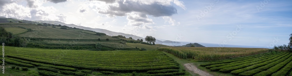 Panoramic view of tea plantations in the hillsides of Sao Miguel Island's north coast