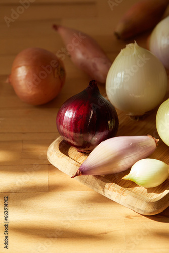 Onions under the morning sunshine