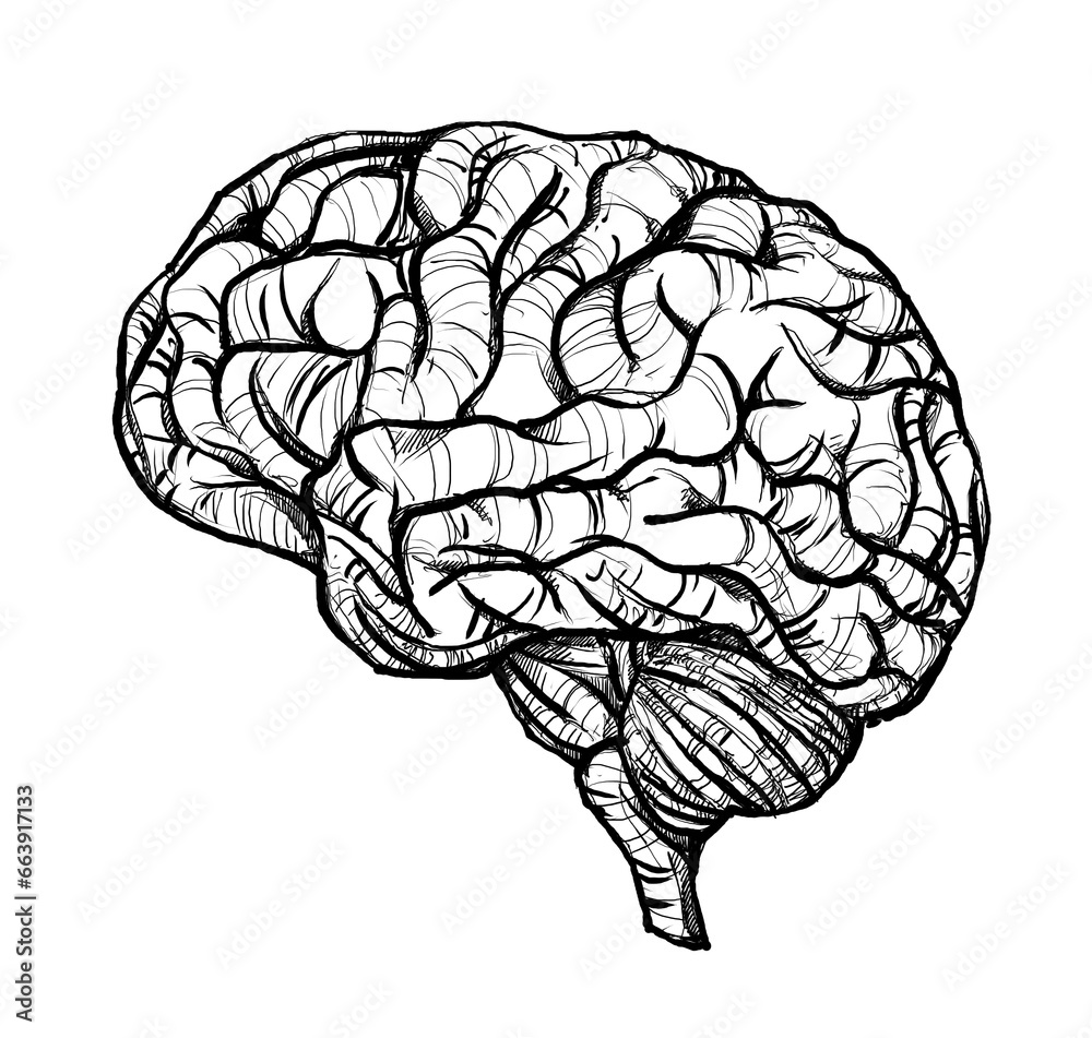 brain - digital painting brain - digital painting