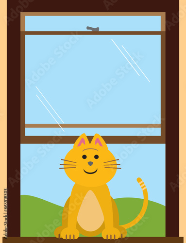 Window Kitty