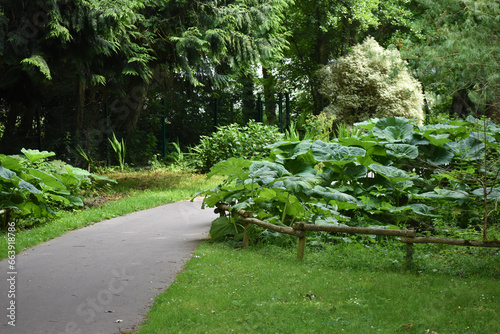 Zooparc de Trégomeur photo