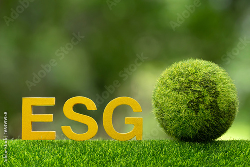 ESG concept of environmental, social and governance.ESG wooden letter and the green world on green sustainable organizational development. ​account the environment, society and corporate governance