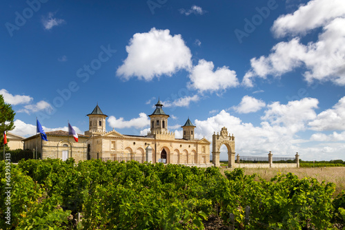 Fotografía Vineyards with Chateau Cos d'Estournel, Bordeaux, Aquitaine, France