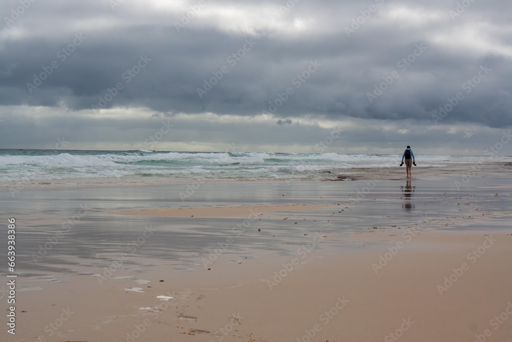 A person is walking along the shore of a deserted beach on a cloudy day