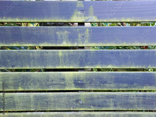 Close-up of the mossy wooden fence.