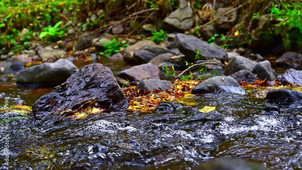 Forest river in autumn Forest river in autumn