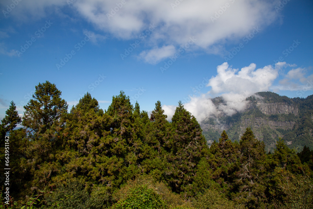 View of forest and mountain in national park in taiwan View of forest and mountain in national park in taiwan