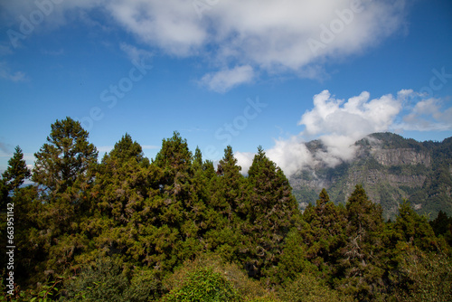 View of forest and mountain in national park in taiwan