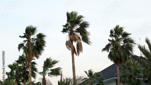 Utama Raya Beach Resort and Nature photo