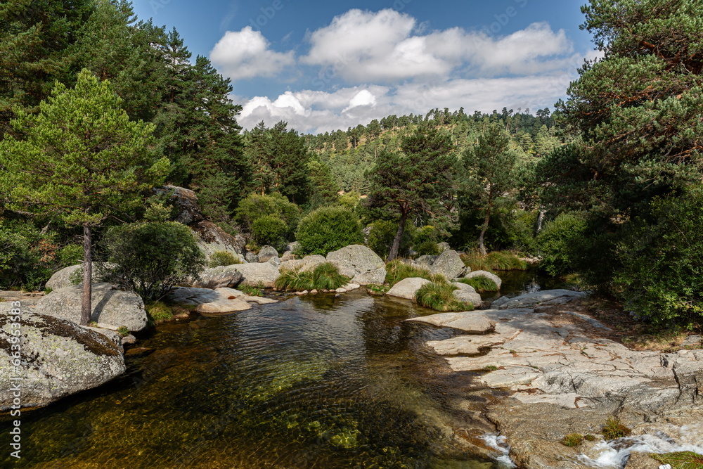 Las Chorreras del Tormes landscape, with pine forests in the background and blue sky with clouds. Tormes River, Sierra de Gredos, Hoyos del Espino, Ávila, Spain.