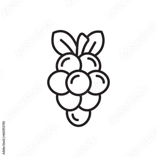Grape icon. Grape flat sign design. Grape symbol vector pictogram. UX UI icon grape