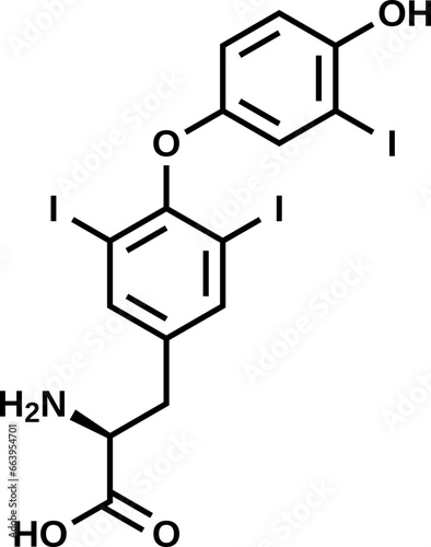 Triiodothyronine vector illustration  T3 structural formula