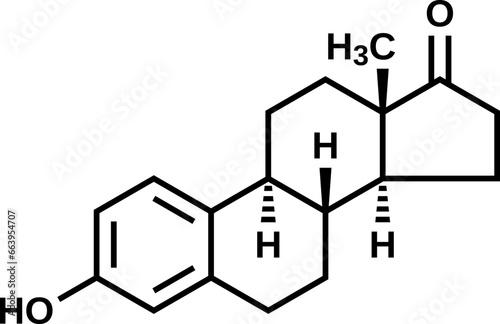 Estrone vector illustration, E1 structural formula