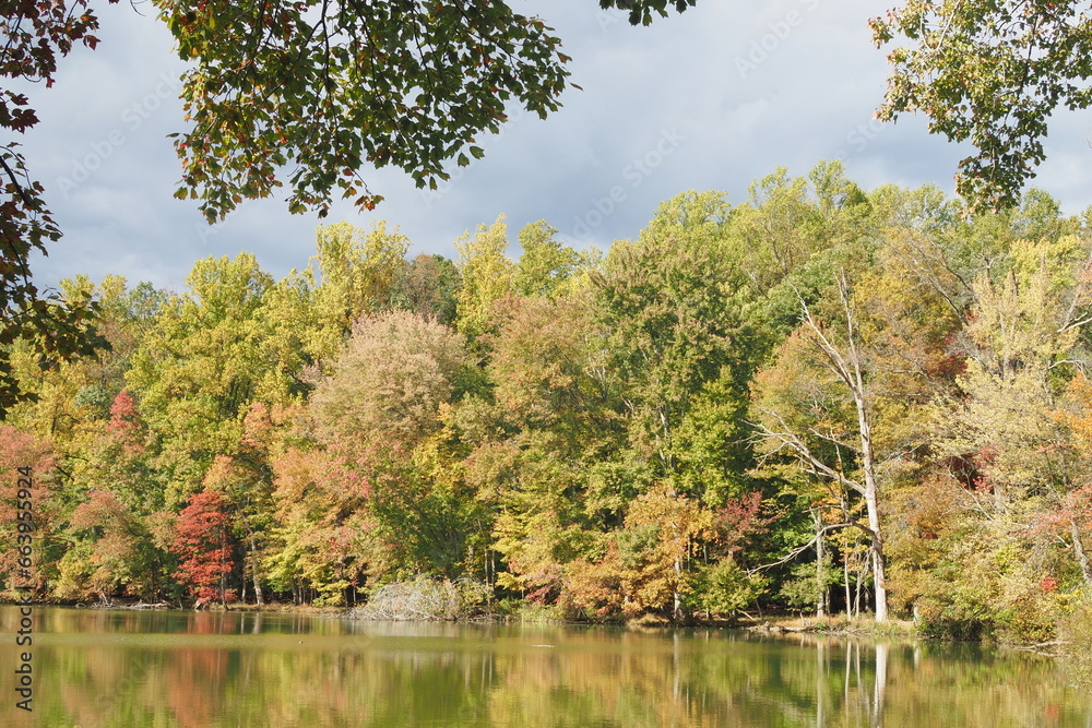 Fall scenery at the Churchville Nature Center in Bucks County, PA. Fall scenery at the Churchville Nature Center in Bucks County, PA.