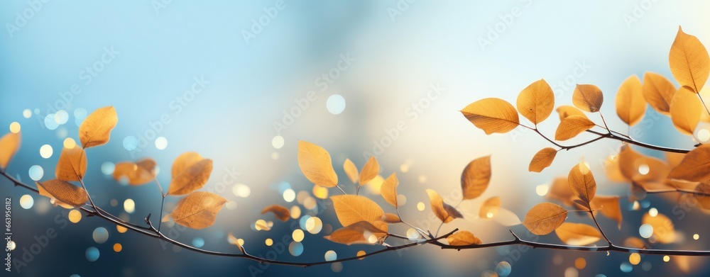 autumn leaves background on forest with blue sky and sun