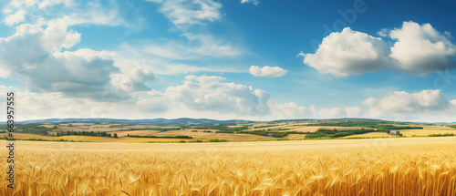 Beautiful summer rural natural landscape with ripe wheat fields, blue sky with clouds in warm day. Panoramic view of spacious hilly area. photo