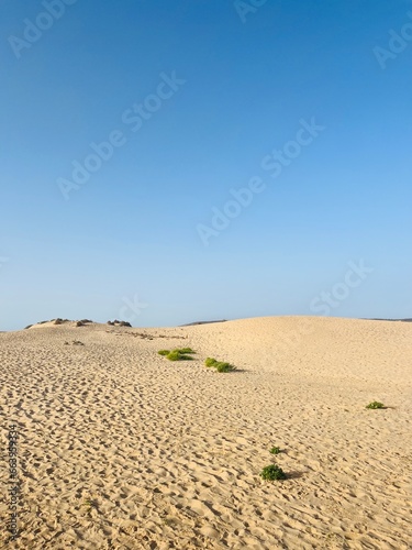 Sandy ocean dunes and blue sky