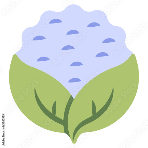 Premium download icon of cauliflower 