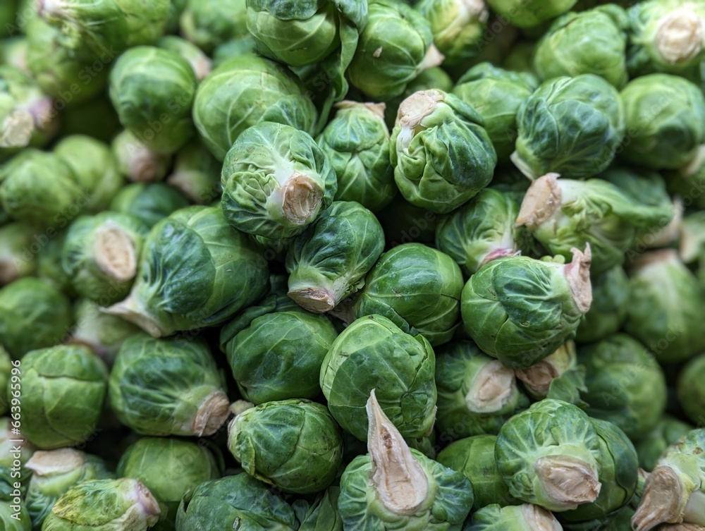 organic fresh brussel sprouts at the farmer's market organic fresh brussel sprouts at the farmer's market