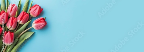 Bouquet of red tulip on blue Background. Top view with copy space.