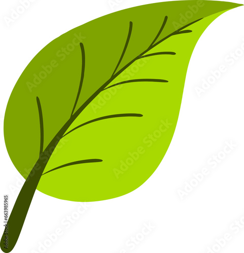 Leaf Green flat vector design