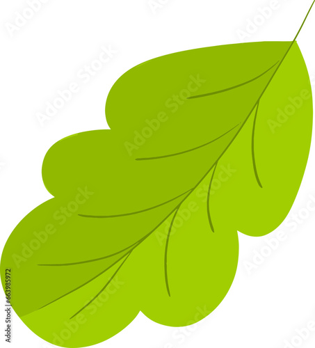Leaf Green flat vector design
