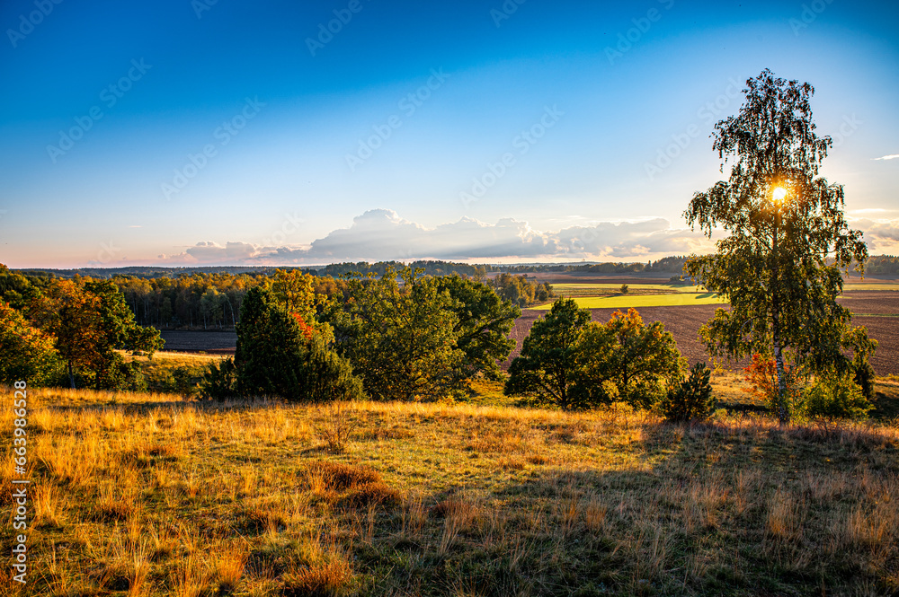 Fototapeta premium Sunset from the hill