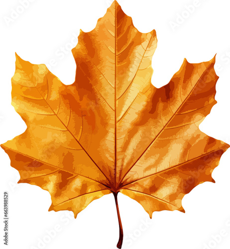 Autumn leaf clip art