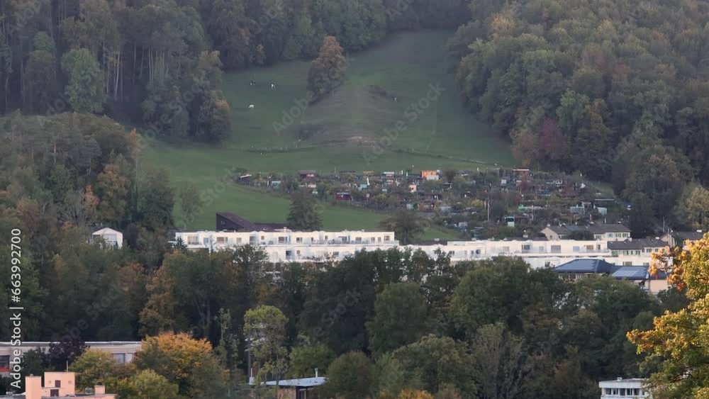 fall golden tree day time zurich area small town aerial panorama 4k switzerland fall golden tree day time zurich area small town aerial panorama 4k switzerland