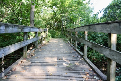 The wood footbridge on the trail in the forest.